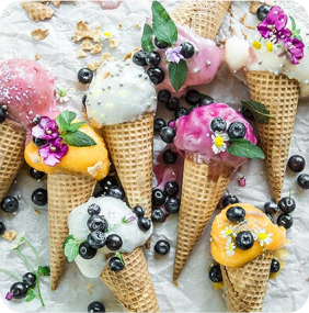 varieties of popsicles